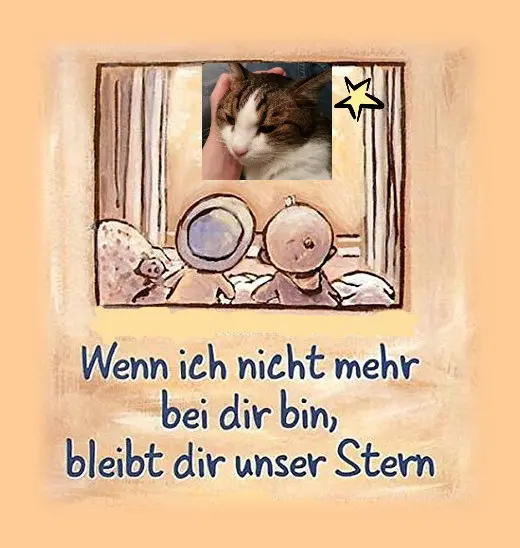 Condolence image of Sabine mit Kaspar tief im Herzen