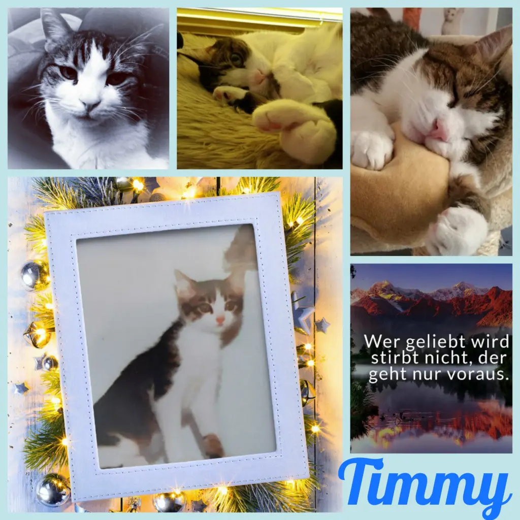 Condolence image of Ellen mit Lina ❤️