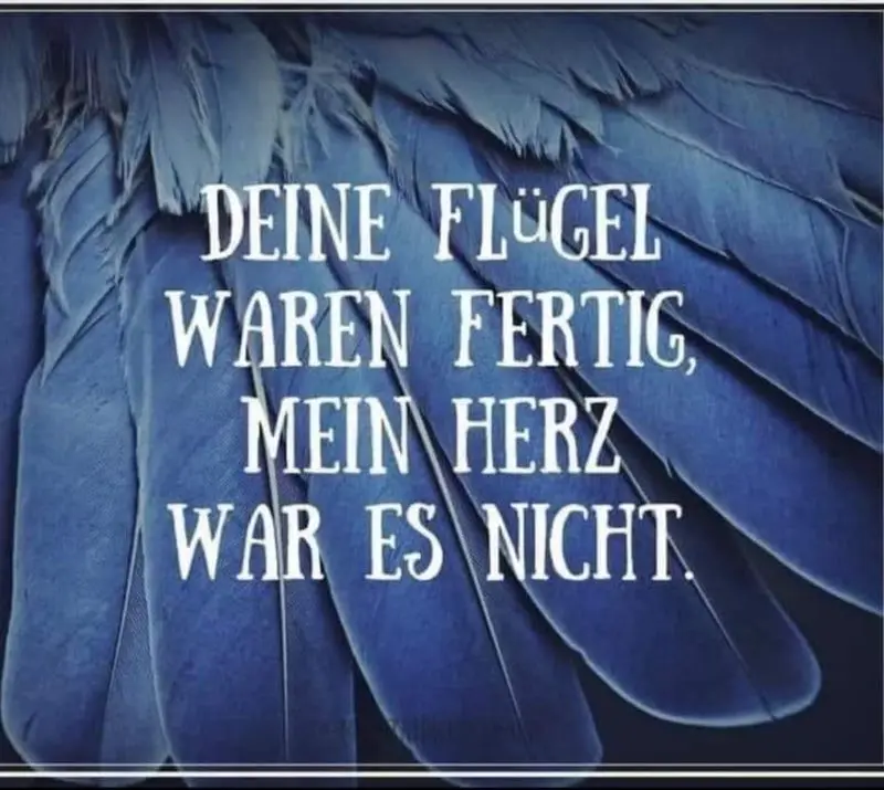 Condolence image of Von Deinem Frauchen Tanja