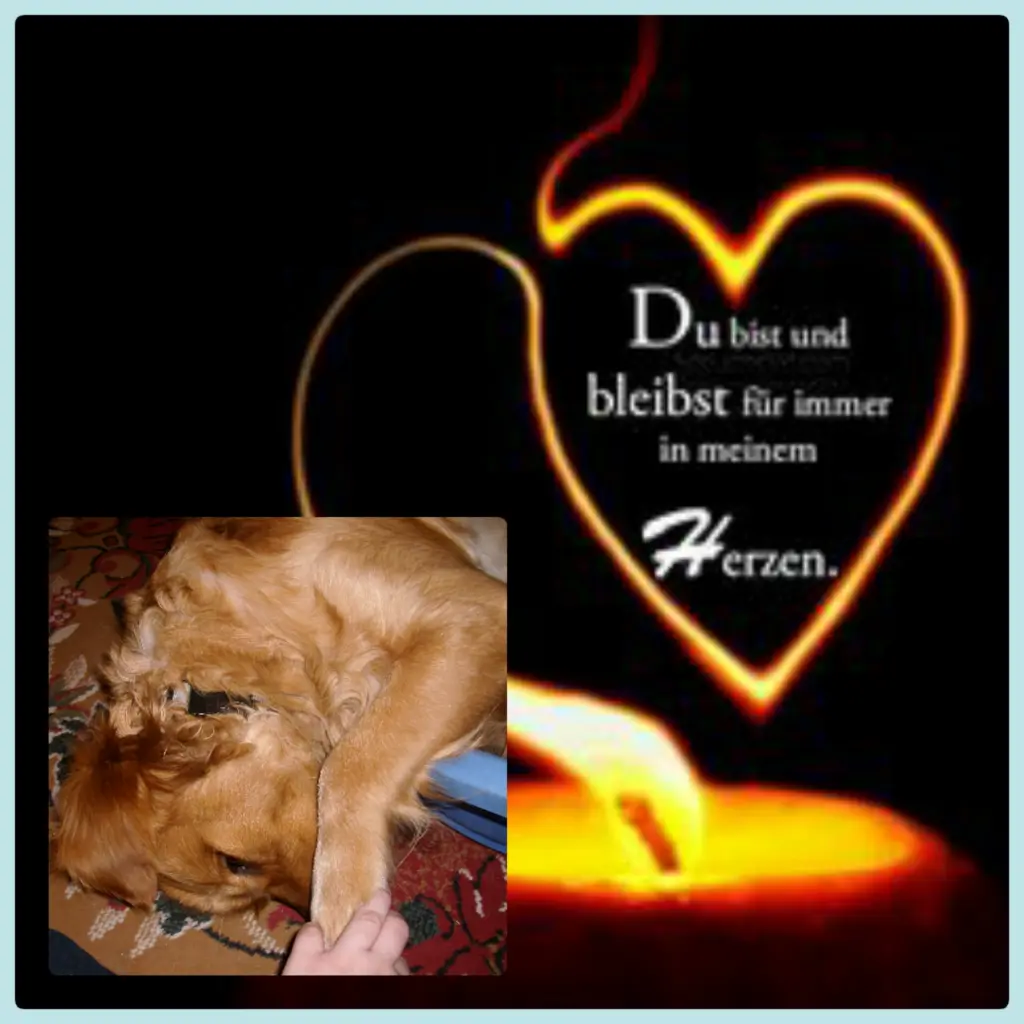 Condolence image of Ellen mit Lina ❤️