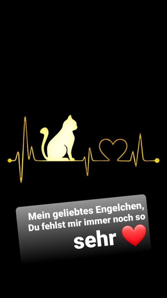 Condolence image of Von Deinem Frauchen Tanja