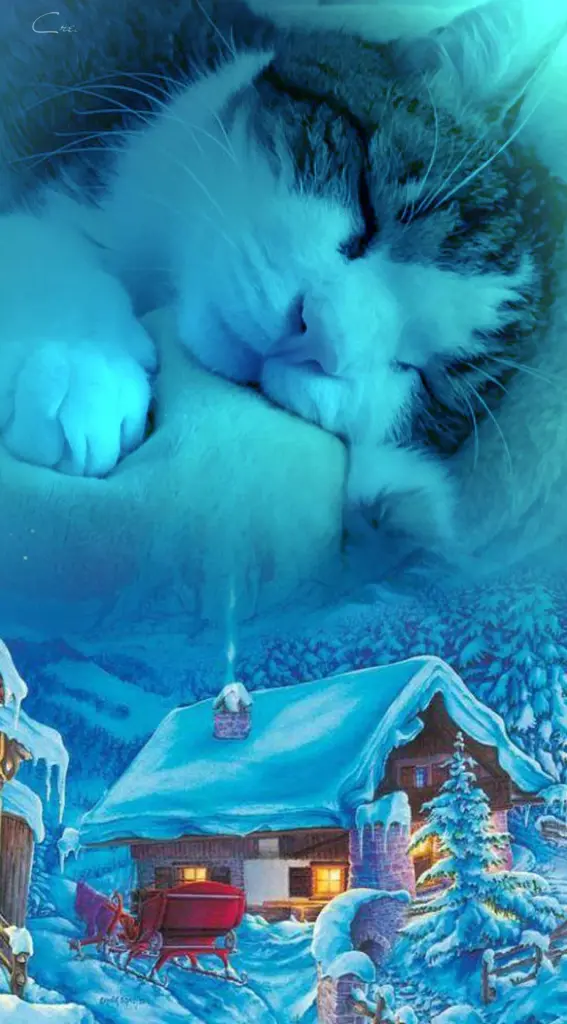 Condolence image of Ellen mit Lina ❤️