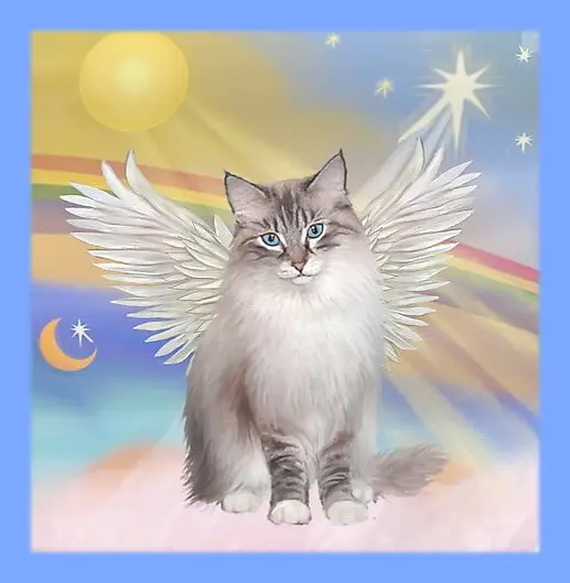 Condolence image of Sabine mit Kaspar tief im Herzen