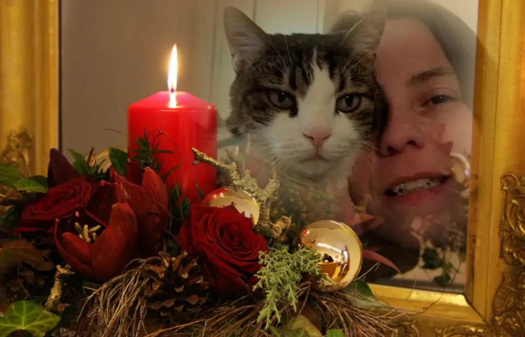 Condolence image of ❤️1. Advent❤️