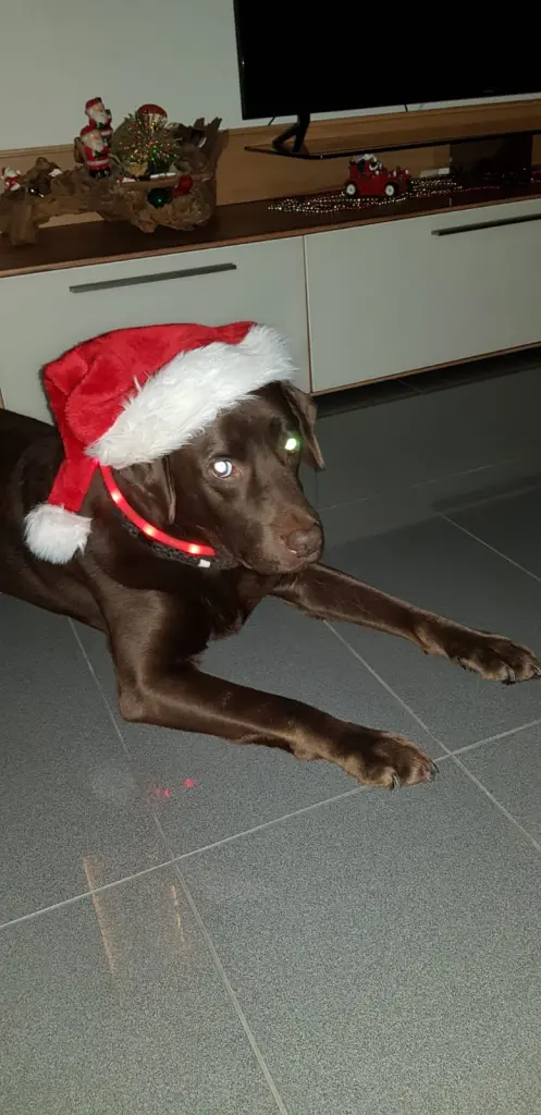 Condolence image of Jutta mit Flash 