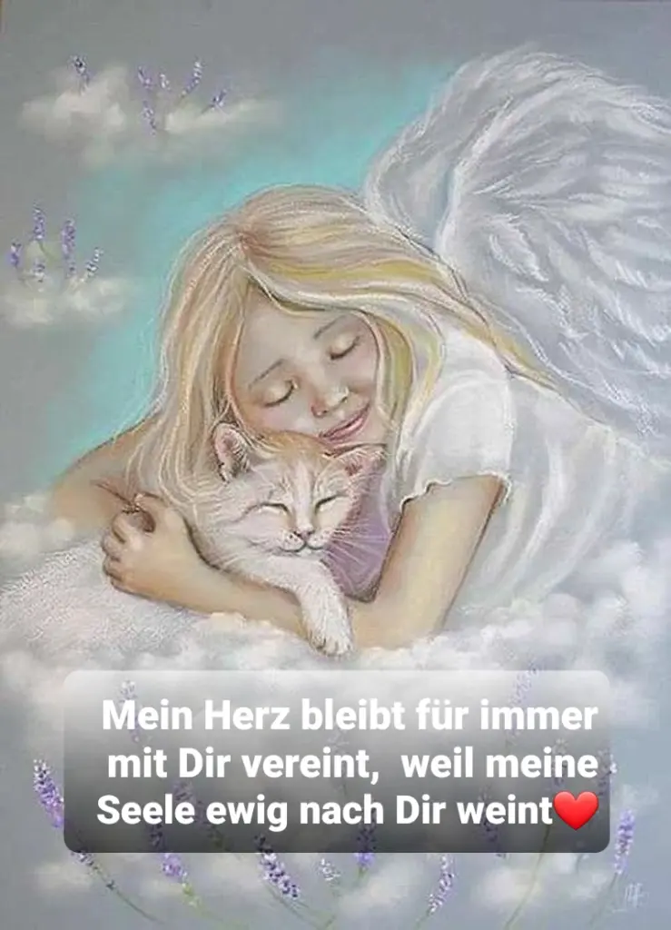 Condolence image of Von Deinem Frauchen Tanja