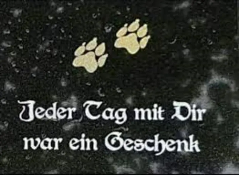 Condolence image of Jutta mit Flash 