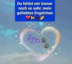 Condolence image of Von Deinem Frauchen Tanja