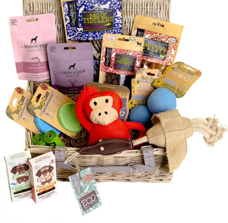 Condolence image of Post von Gatita