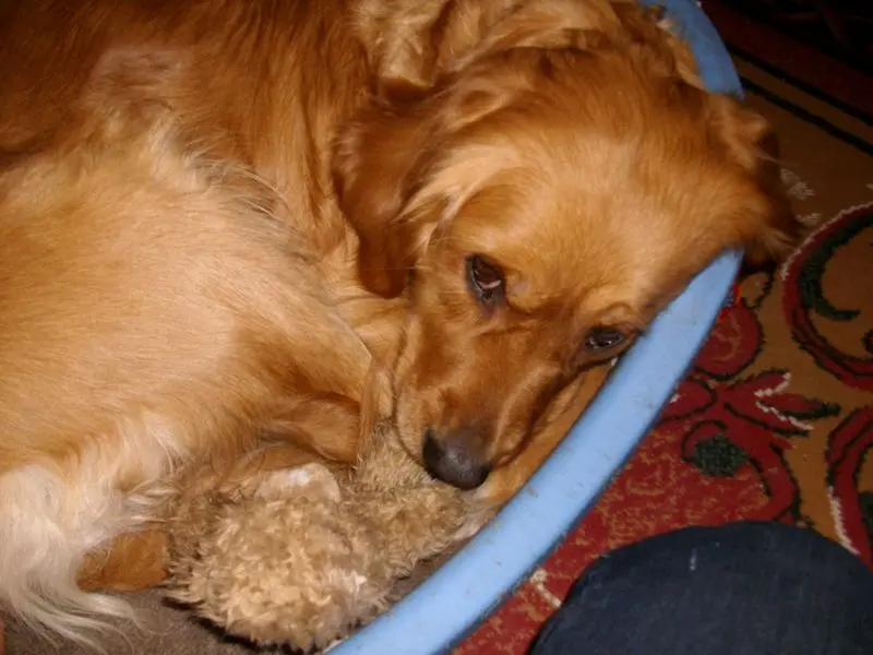 Condolence image of Ellen mit Lina ❤️