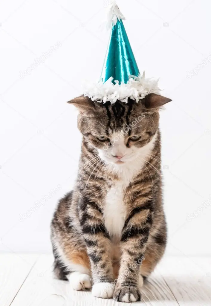 Condolence image of Post von Gatita