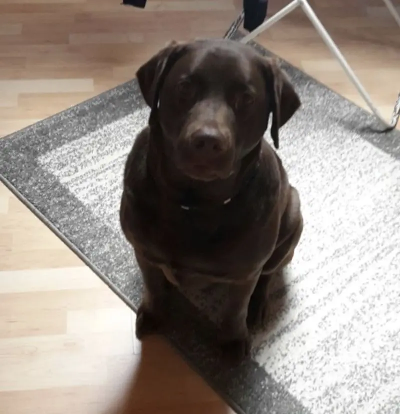 Condolence image of Jutta mit ❤️ Flash ❤️