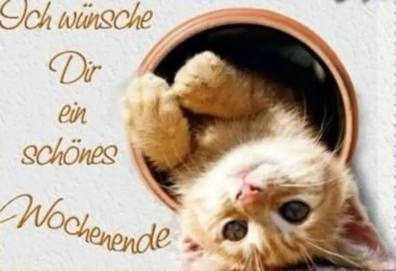 Condolence image of Post von Gatita