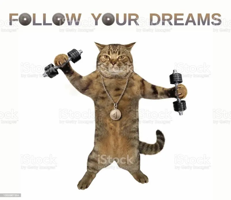 Condolence image of Post von Gatita