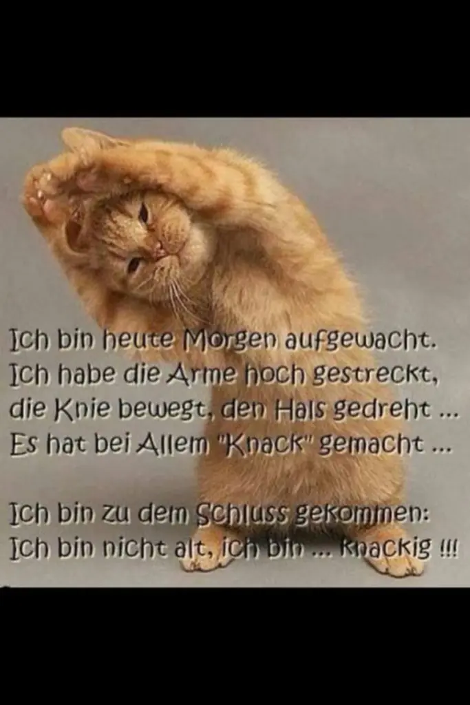 Condolence image of email von Gatita und Timmy