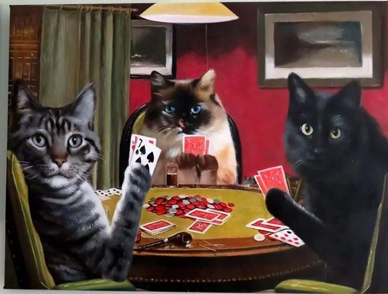 Condolence image of Post von Gatita und Timmy