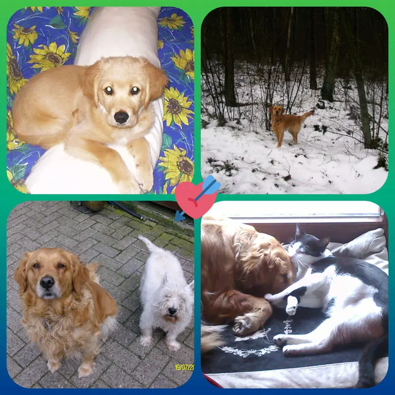 Condolence image of Ellen mit Lina ❤️