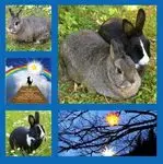 Condolence image of Sonntagsrosen für Timmy 