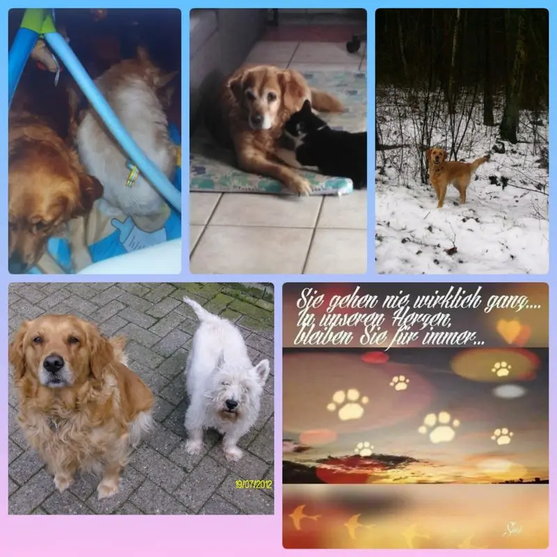 Condolence image of Ellen mit Lina ❤️