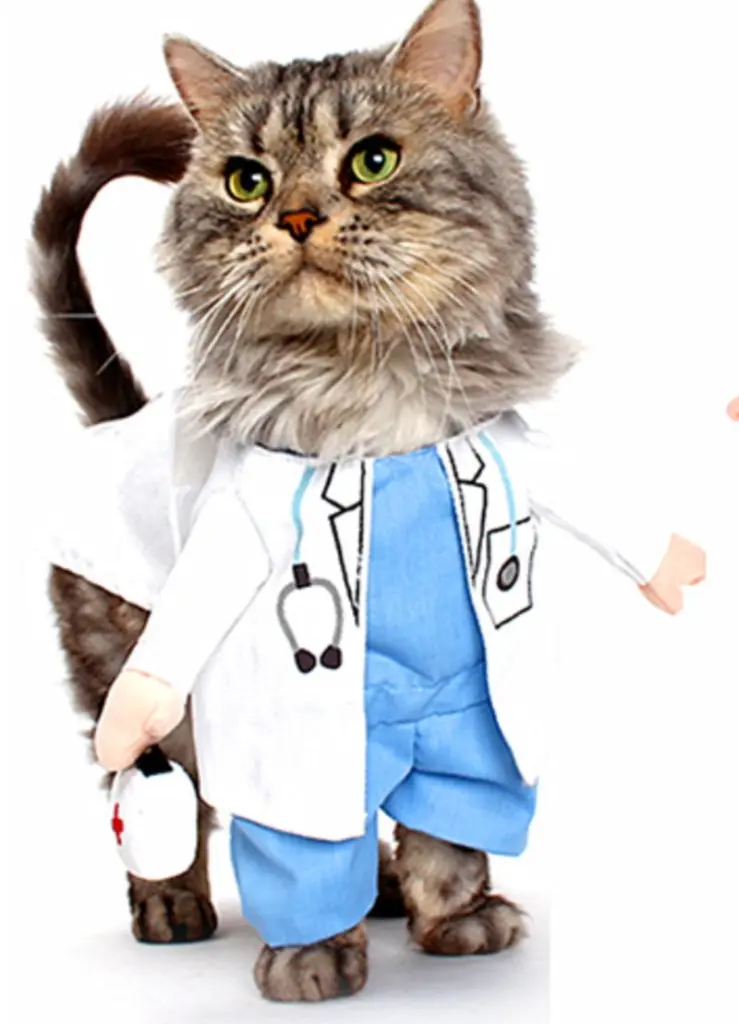 Condolence image of Post von Gatita und Timmy