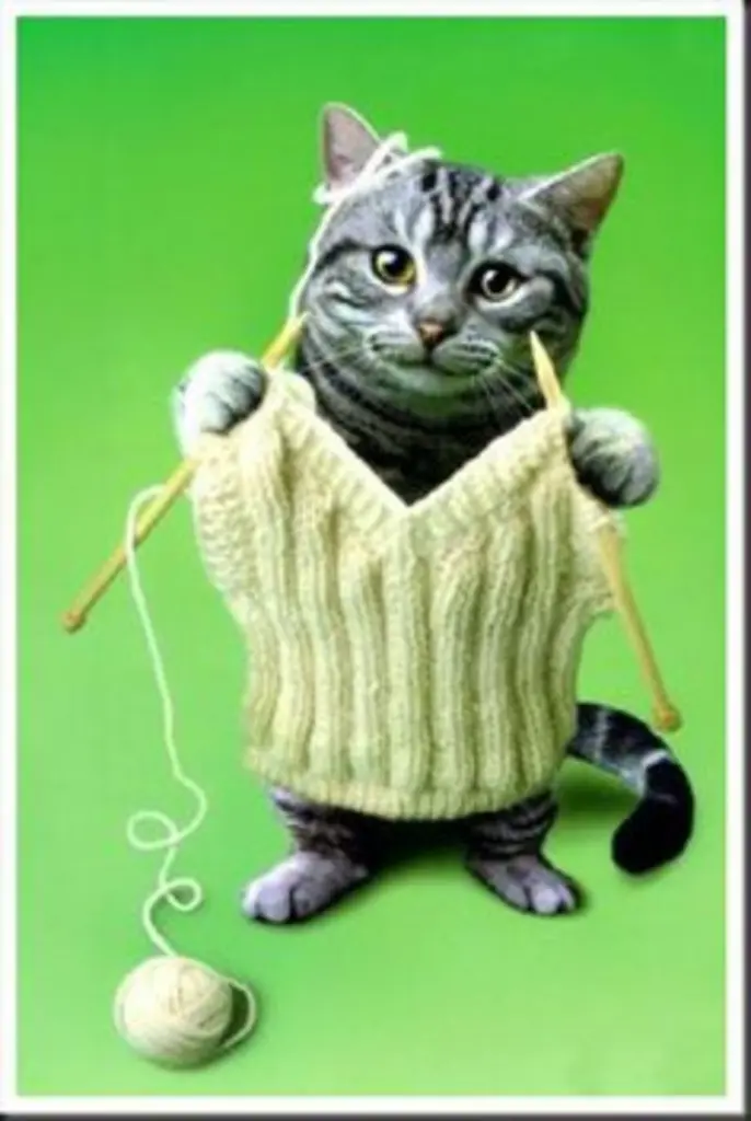 Condolence image of Post von Gatita und Timmy