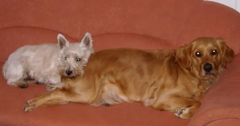 Condolence image of Ellen mit Lina ❤️