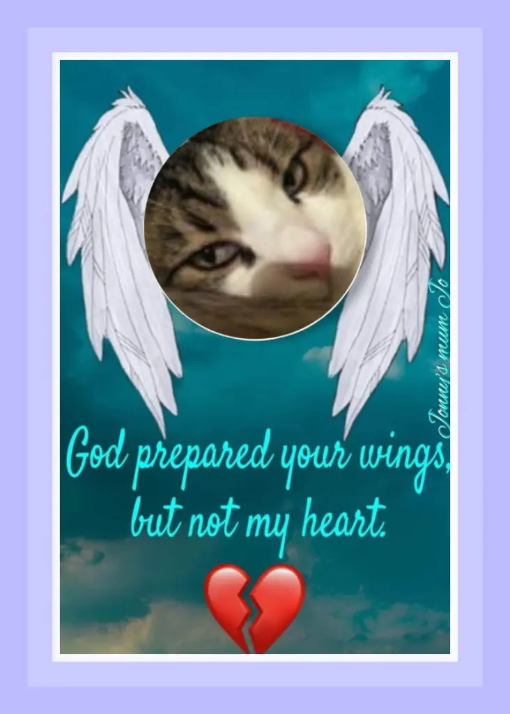 Condolence image of Sabine mit Kaspar tief im Herzen