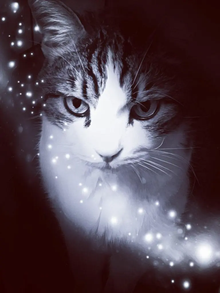 Condolence image of Ellen mit Lina ❤️