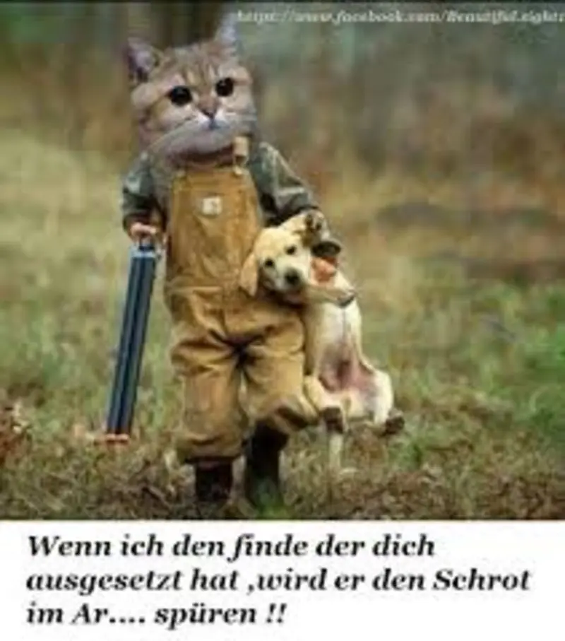 Condolence image of Post von Gatita und Timmy