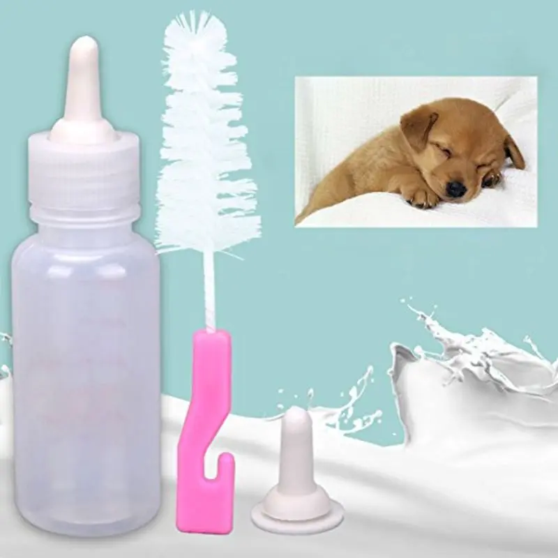 Condolence image of Post von Gatita und Timmy + Schnuffi