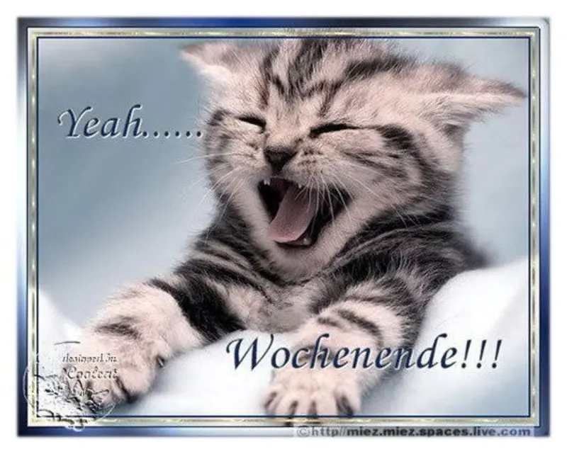 Condolence image of Sabine mit Kaspar tief im Herzen