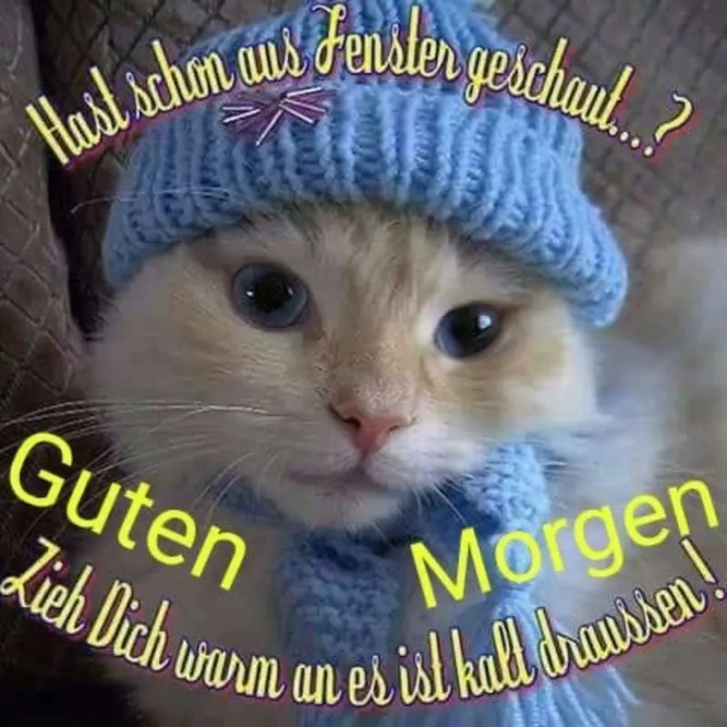 Condolence image of Post von Gatita + Timmy + Schnuffi