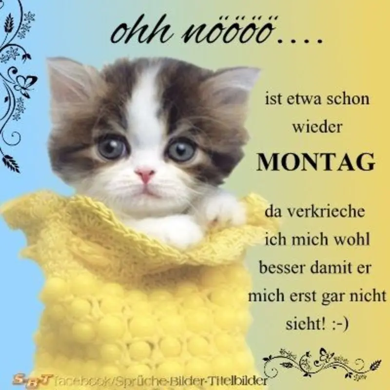 Condolence image of Ellen mit Lina ❤️