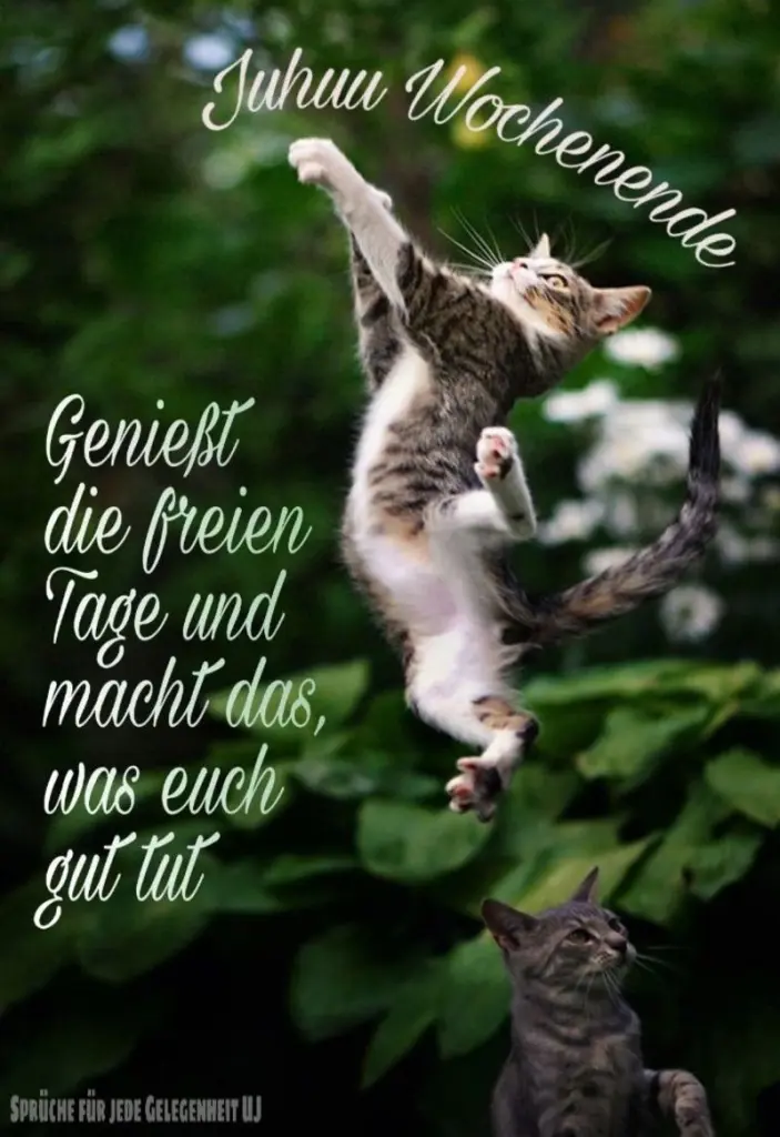 Condolence image of Grüße zum Wochenende ❤️❤️