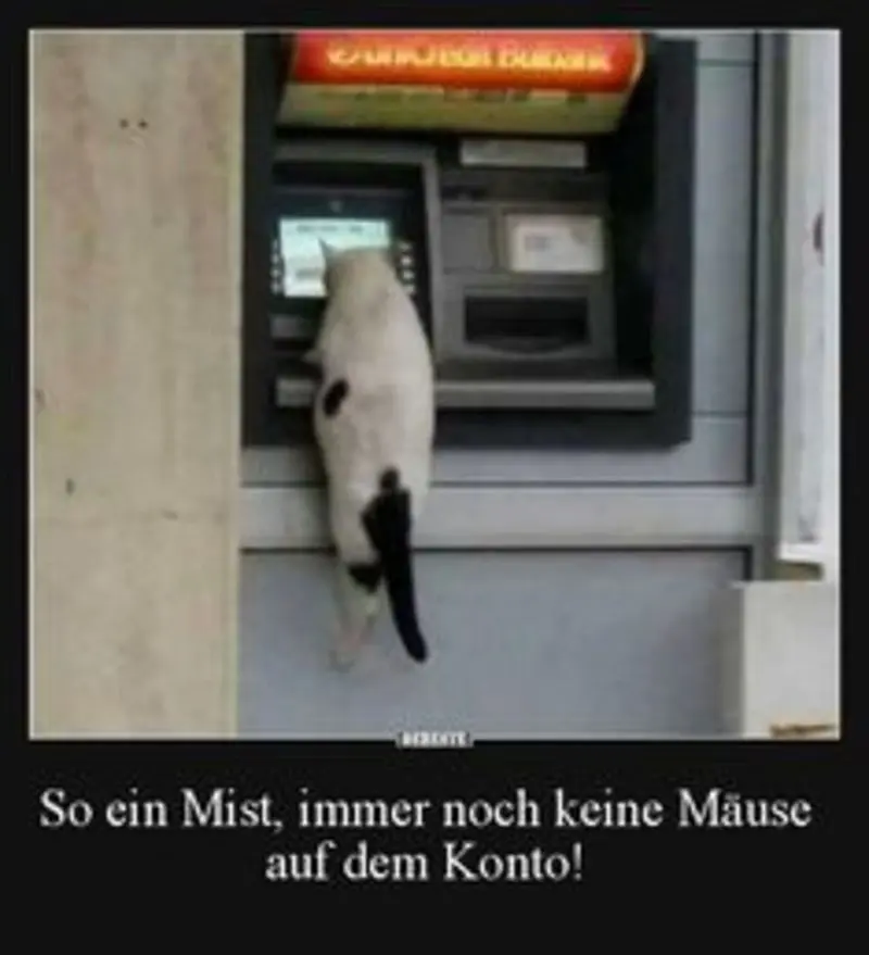 Condolence image of email von Gatita + Timmy + Schnuffi