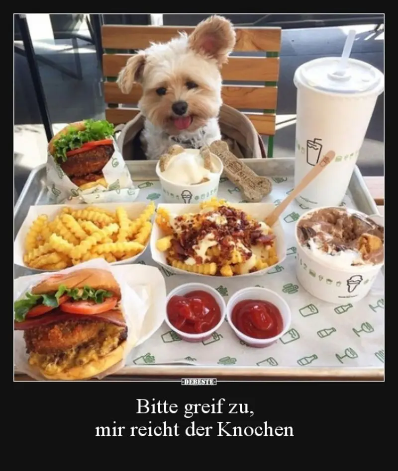 Condolence image of email von Gatita + Timmy + Schnuffi