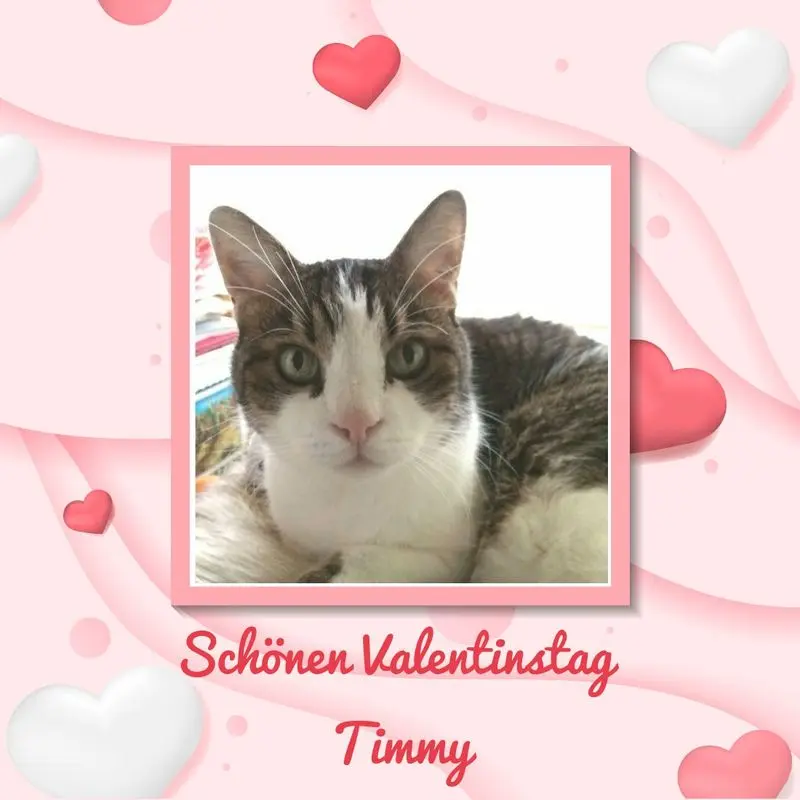 Condolence image of Sabine mit Kaspar tief im Herzen