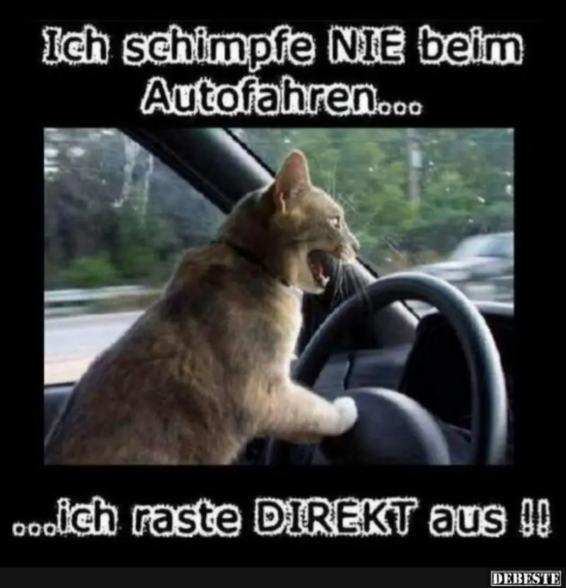 Condolence image of Post von Gatita + Timmy + Schnuffi