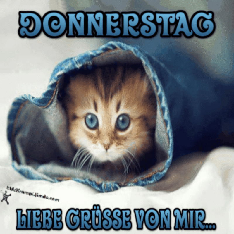 Condolence image of Ellen mit Lina ❤️