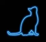 Condolence image of Von Deinem Frauchen Tanja