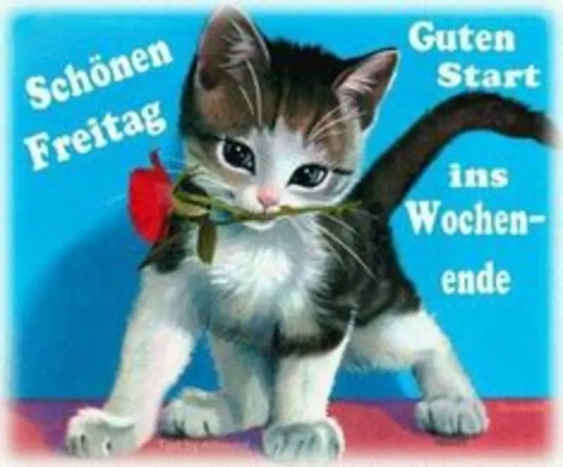 Condolence image of Ellen mit Lina ❤️