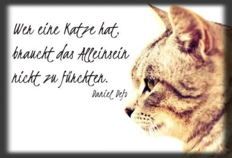 Condolence image of Jutta mit Flash 