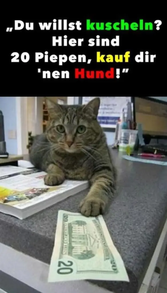 Condolence image of Von Gatita + Timmy + Schnuffi an Mutti Tanja