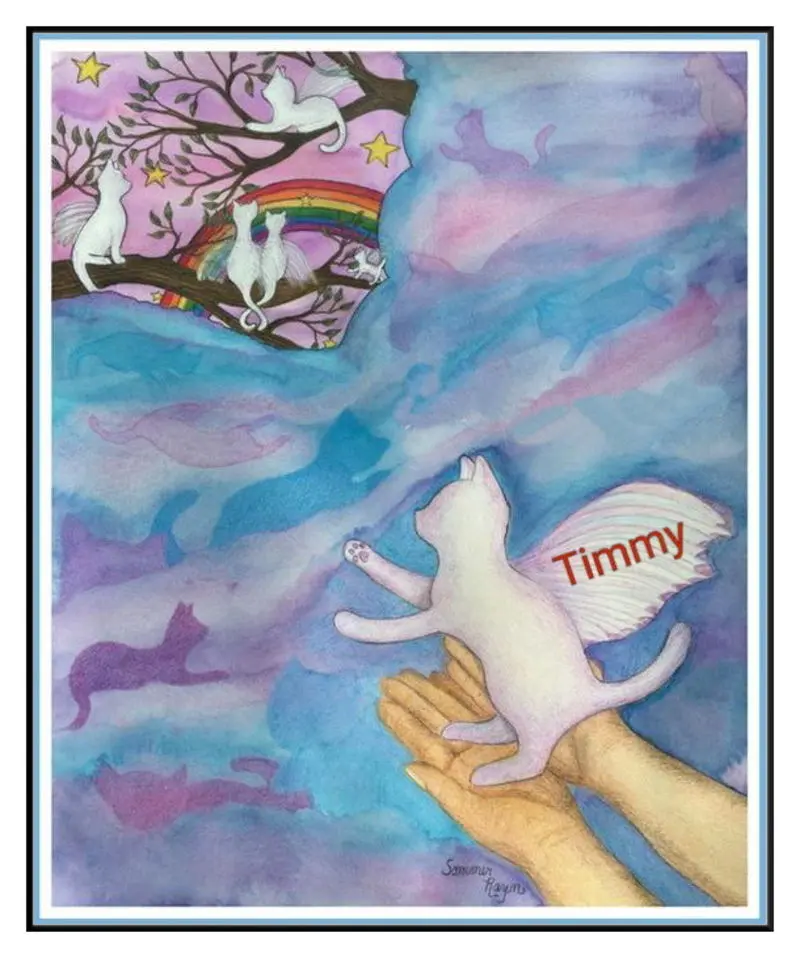 Condolence image of Sabine mit Kaspar tief im Herzen