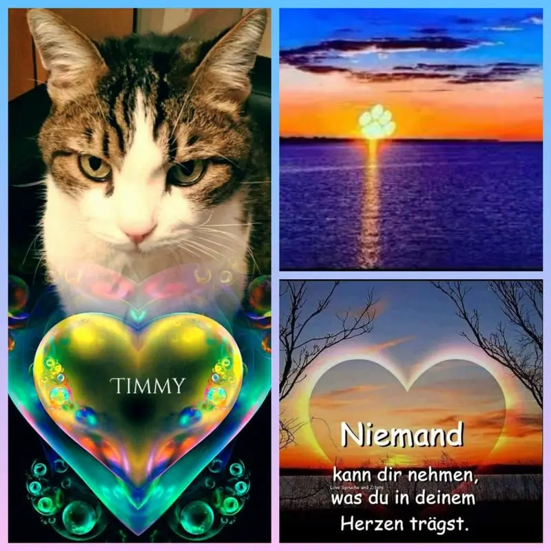 Condolence image of Ellen mit Lina ❤️