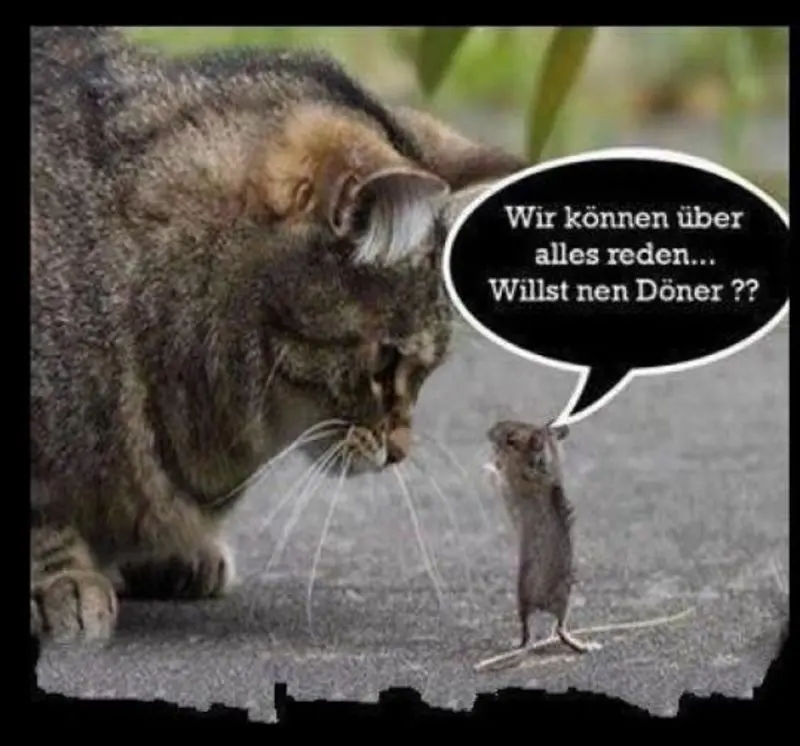 Condolence image of Post v. Gatita + Timmy + Schnuffi an Mutti Tanja