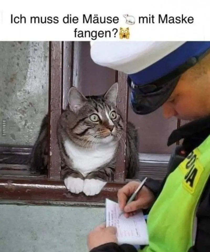 Condolence image of Post v. Timmy ,Gatita + Schnuffi an Mutti Tanja