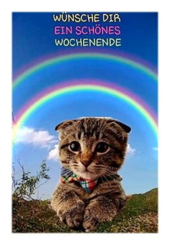 Condolence image of Sabine mit Kaspar tief im Herzen