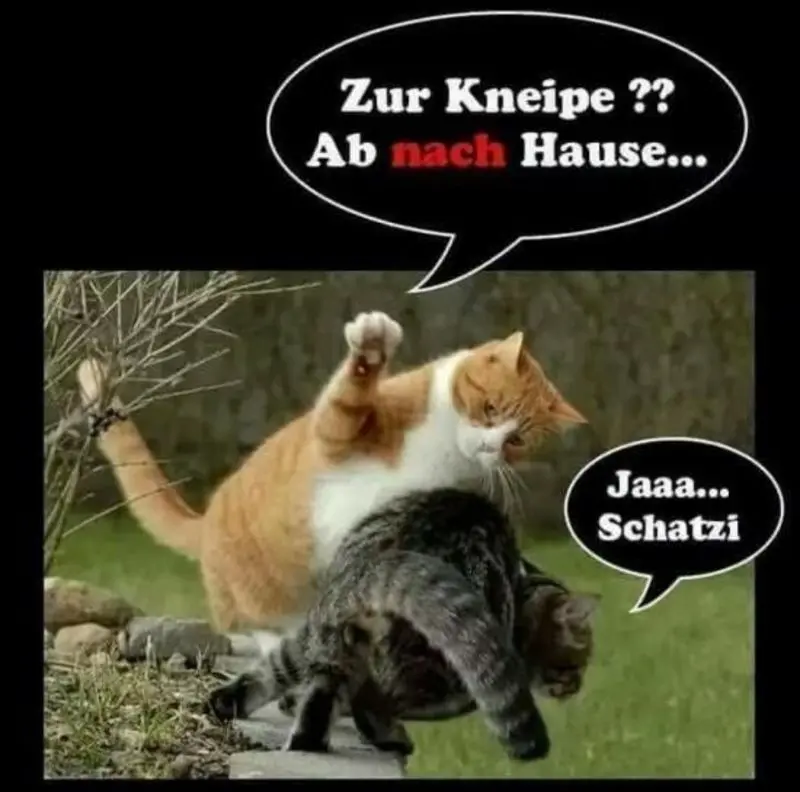 Condolence image of Post v. Gatita, Timmy + Schnuffi an Mutti Tanja