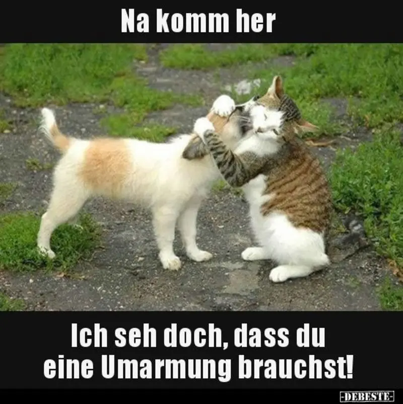 Condolence image of An Mutti Tanja von Gatita + Timmy + Schnuffi 